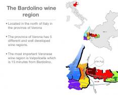 Bardolino vina – jedno od vinskih „lica“ Italije Bardolino: zabava i aktivna rekreacija